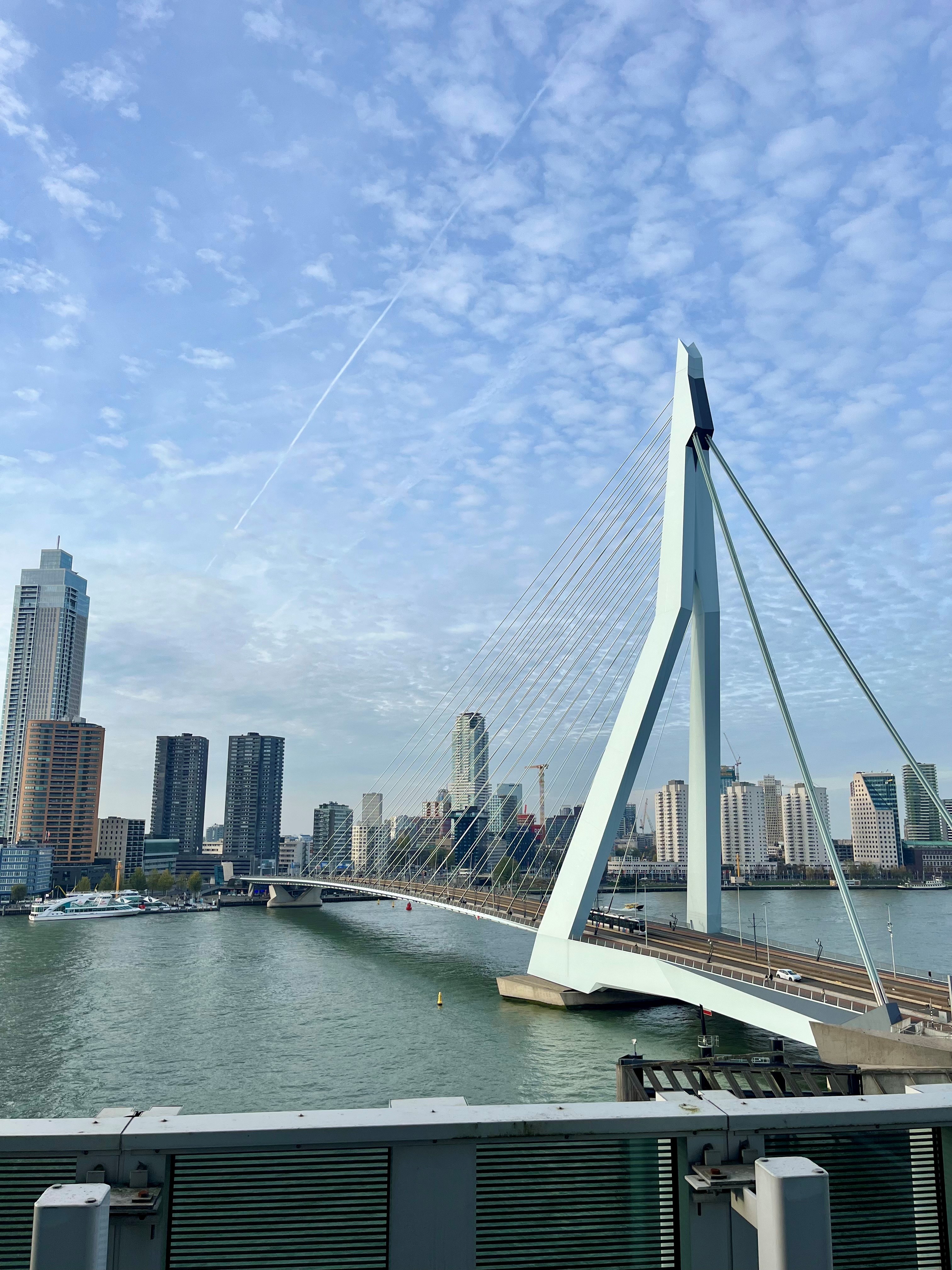 Sky Bridge, Rotterdam.jpg